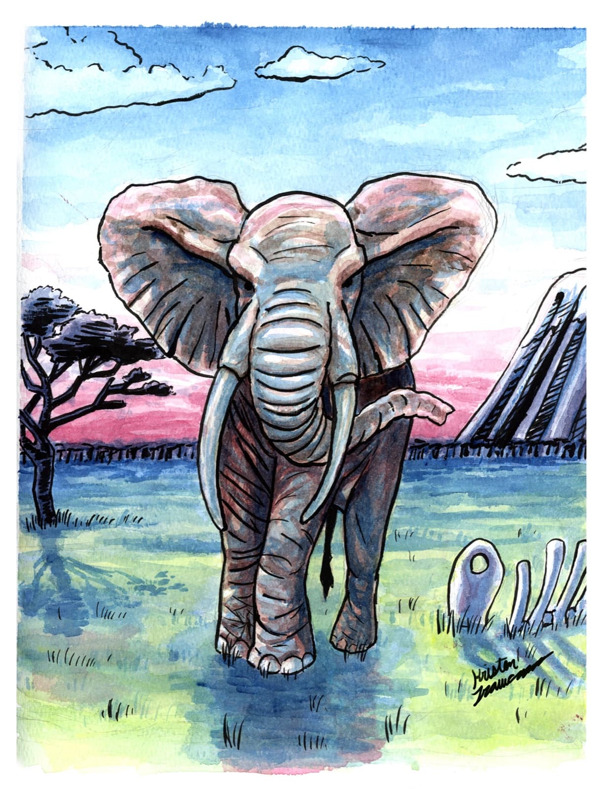 African elephant